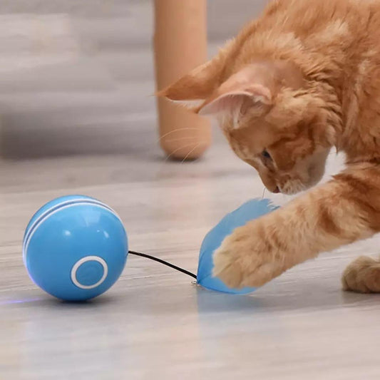 Interactive Rolling Ball Toy for Cats with Feather Accents