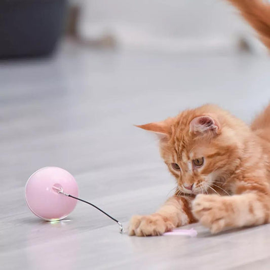 Interactive Rolling Ball Toy for Cats with Feather Accents