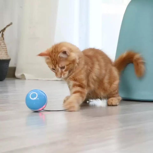 Interactive Rolling Ball Toy for Cats with Feather Accents
