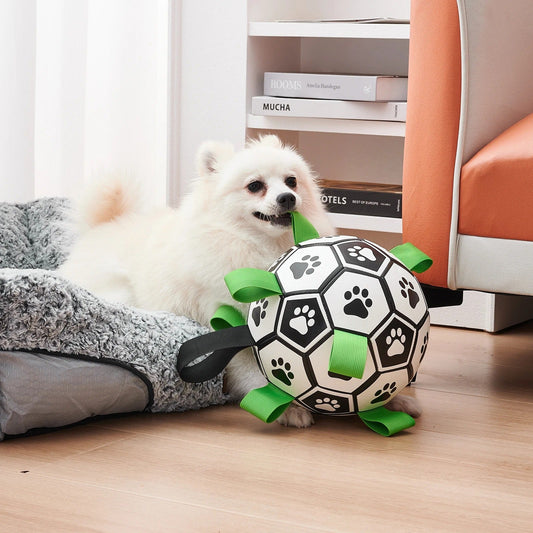 Interactive Dog Soccer Ball Toy