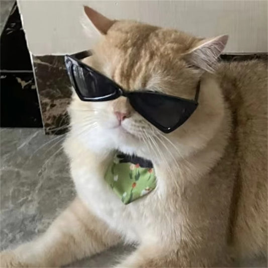Sphynx Sunglasses for Pets
