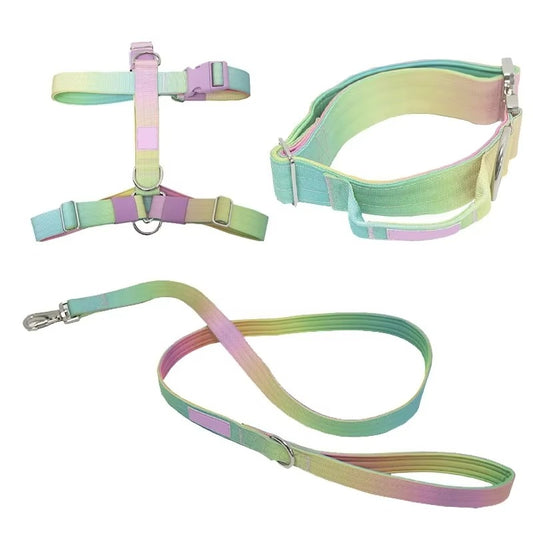 Gradient Comfort Dog Harness Set
