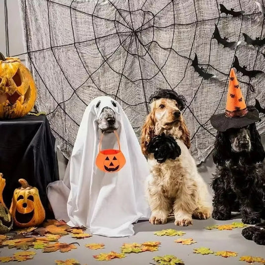 Dog Ghost Halloween Costumes