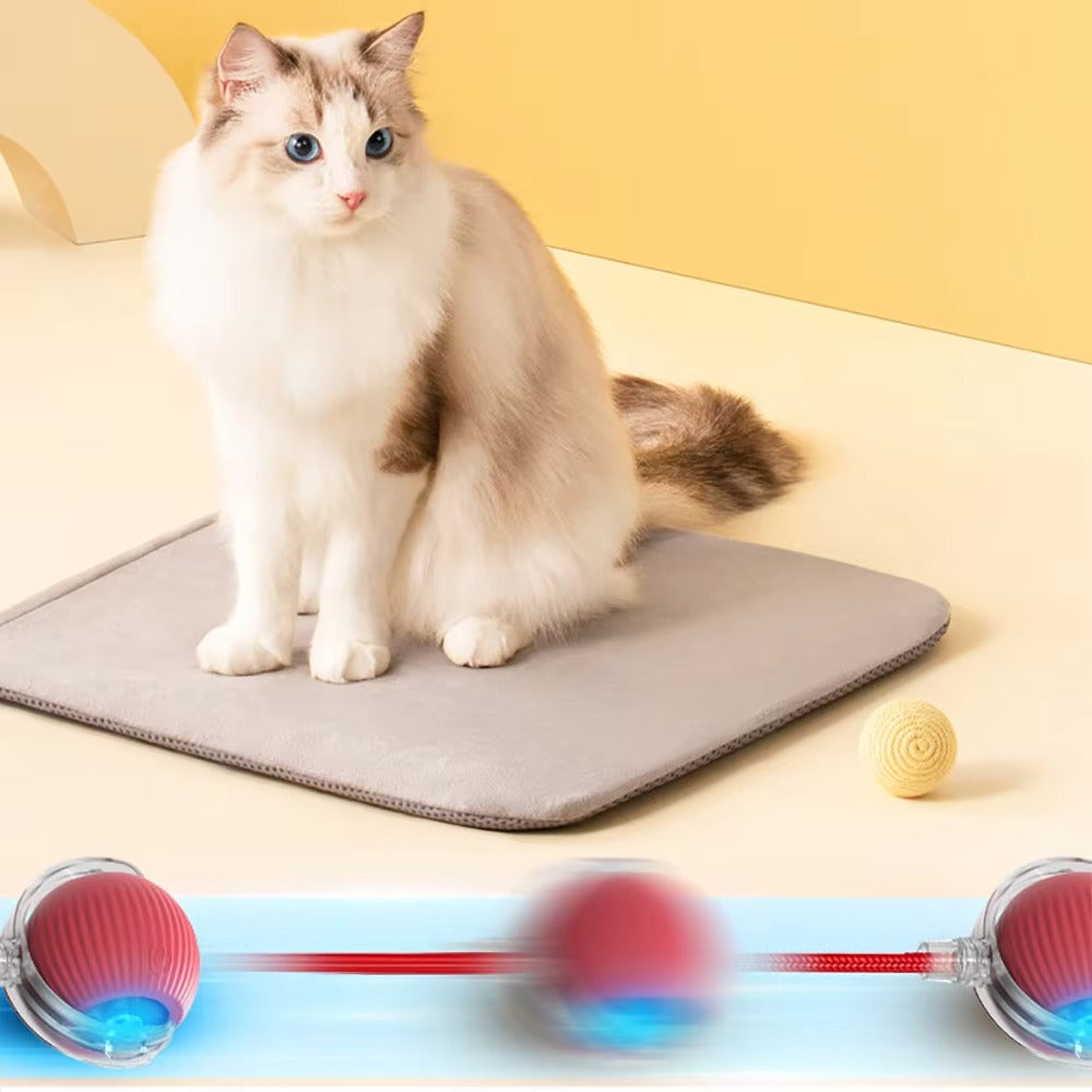 Rolling Pet Toy Ball