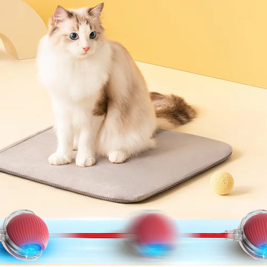 Rolling Pet Toy Ball