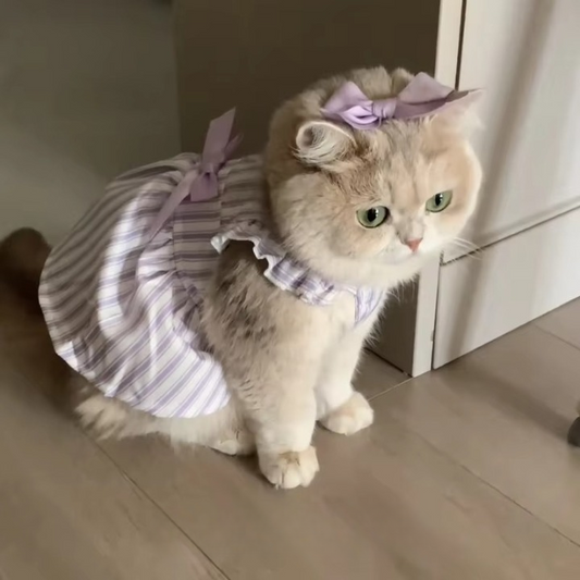 Lavender Stripe Cat Princess Dress