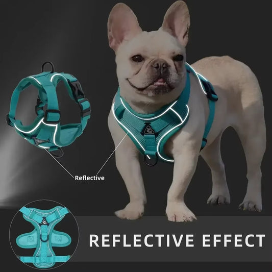 No-Pull Dog Harness & Leash Set