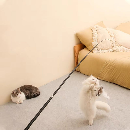 Telescopic Cat Wand Toy | BUY 1 GET 1 FREE (2PCS)