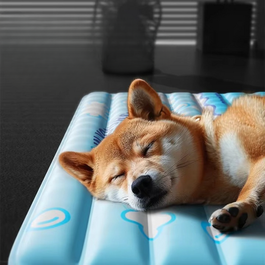 Premium Gel Cooling Mat for Dogs & Cats