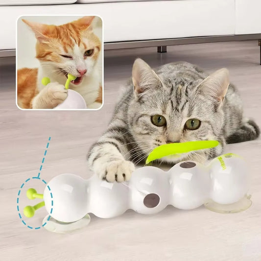 Automatic Peek-a-Worm Motion Cat Toy