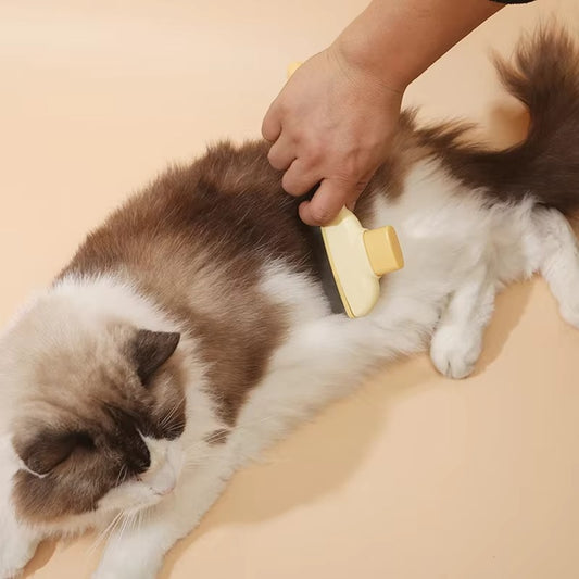 Detangling Pet Brush for Cats and Dogs