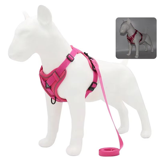 No-Pull Dog Harness & Leash Set