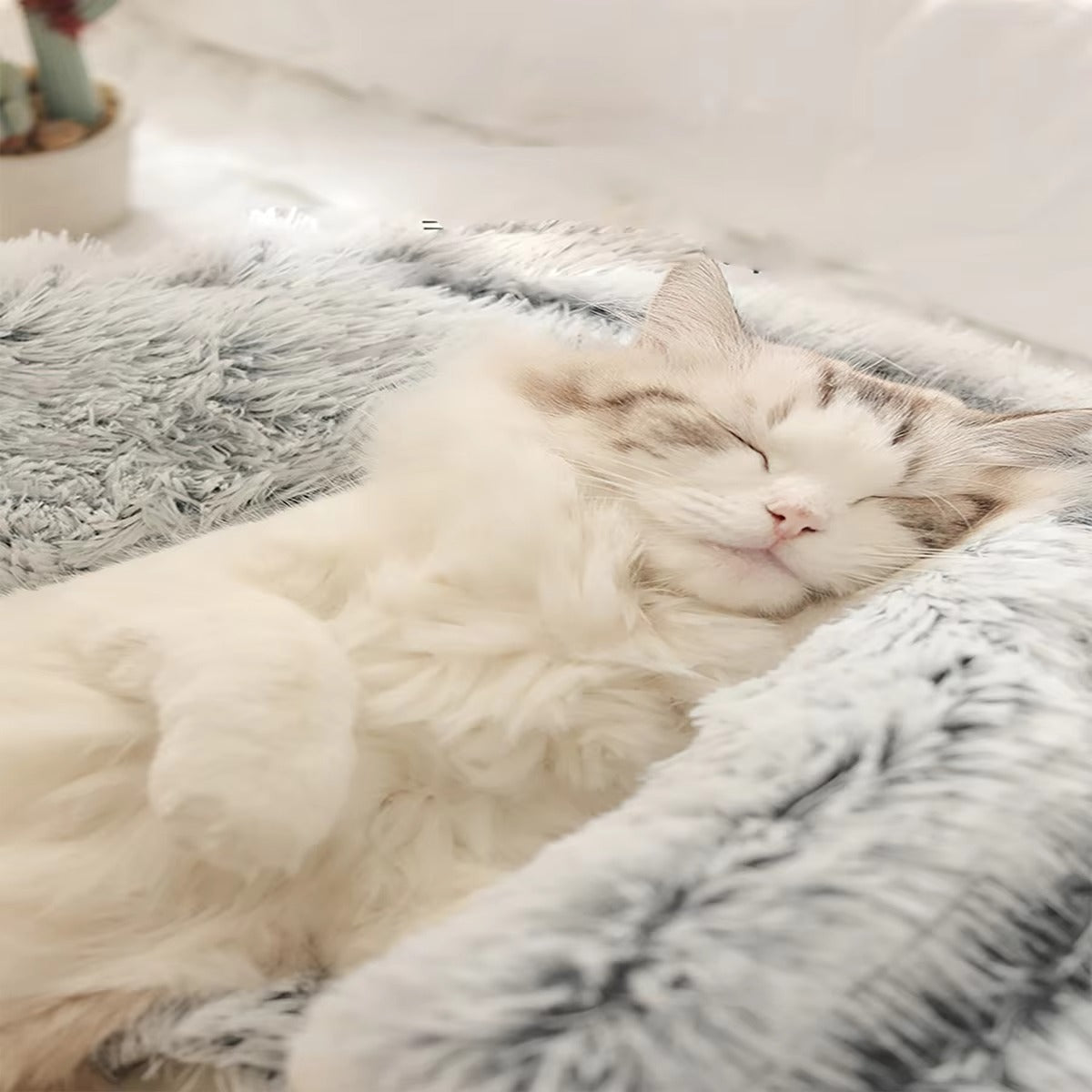 Stress Relief Pet Bed for Cats and Small Dogs