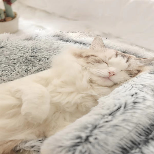 Stress Relief Pet Bed for Cats and Small Dogs