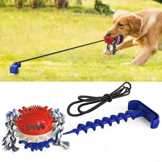 Outdoor Tug Toy for Dogs