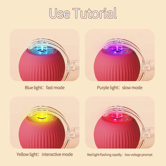 Rolling Pet Toy Ball