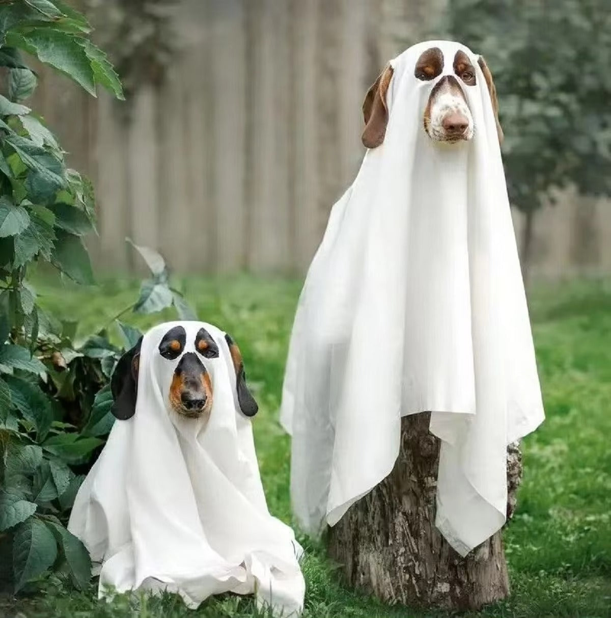 Dog Ghost Halloween Costumes