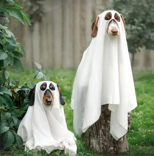 Dog Ghost Halloween Costumes