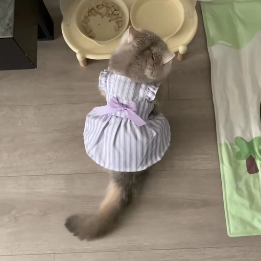 Lavender Stripe Cat Princess Dress