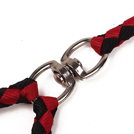 Double Dog Leash with Padded Handle