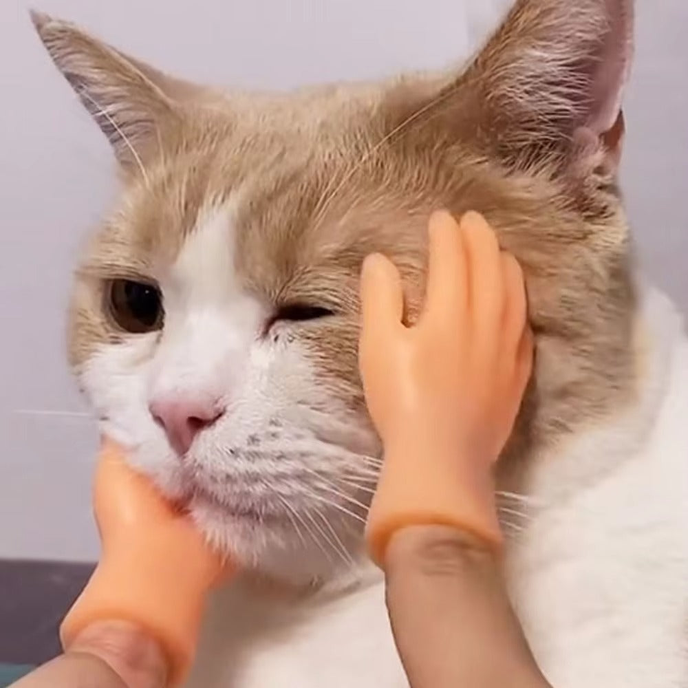 Hilarious Human Hand Gloves for Cats