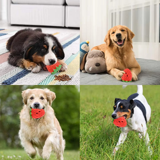 Snuffle Strawberry Toy for Dogs