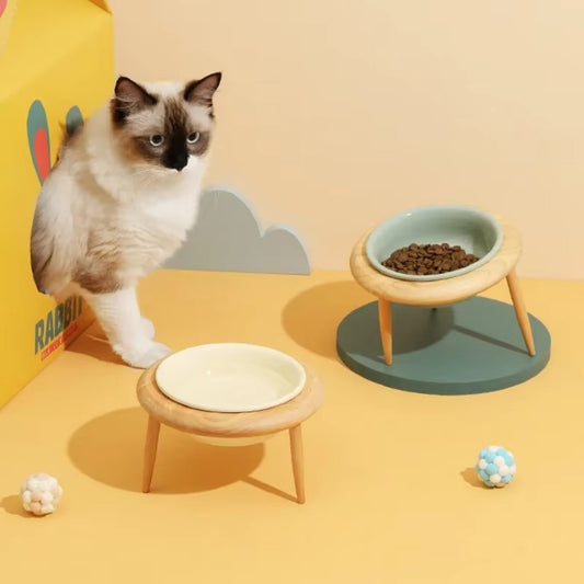 Stylish Tilted Ceramic Feeder