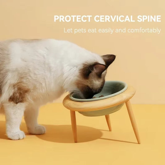 Stylish Tilted Ceramic Feeder