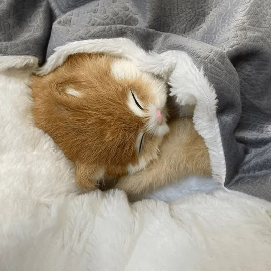 Cozy Bed for Small Pets