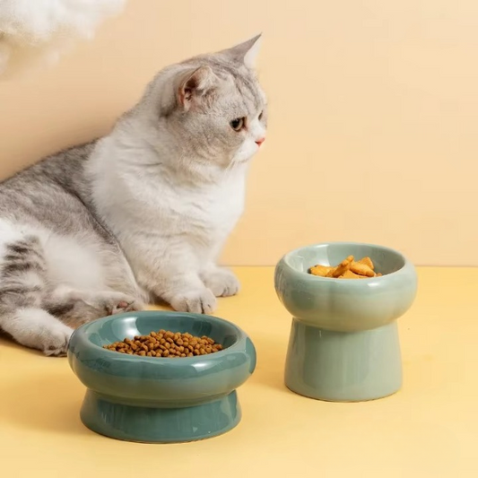 Elevated Ceramic Cat Bowl
