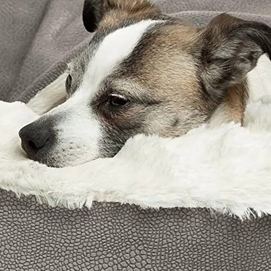 Cozy Bed for Small Pets