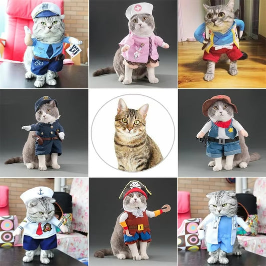 Funny Cat Costume