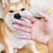 Dog Toothbrush | Set of 5
