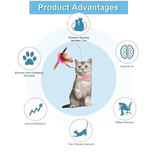Bounce 'n Pounce Cat Collar Toy