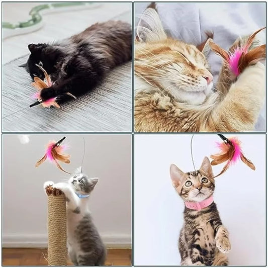 Bounce 'n Pounce Cat Collar Toy