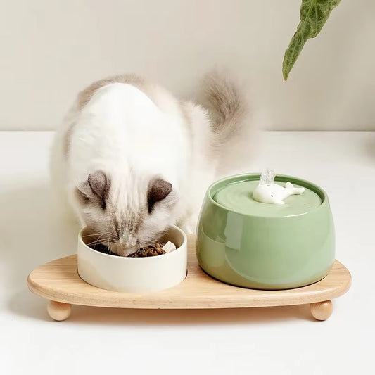 Ceramic Cat Water Fountain with Bamboo Stand