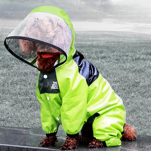 Dog Raincoat with Clear Hood
