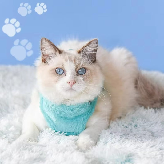 Luxury Plush Cat Harness & Leash Set