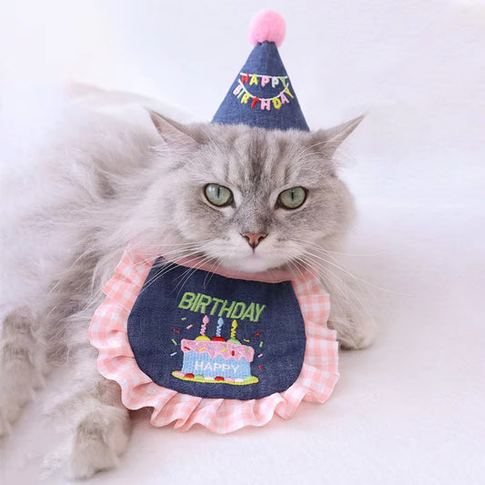 Birthday Party Outfit for Cats & Small Dogs