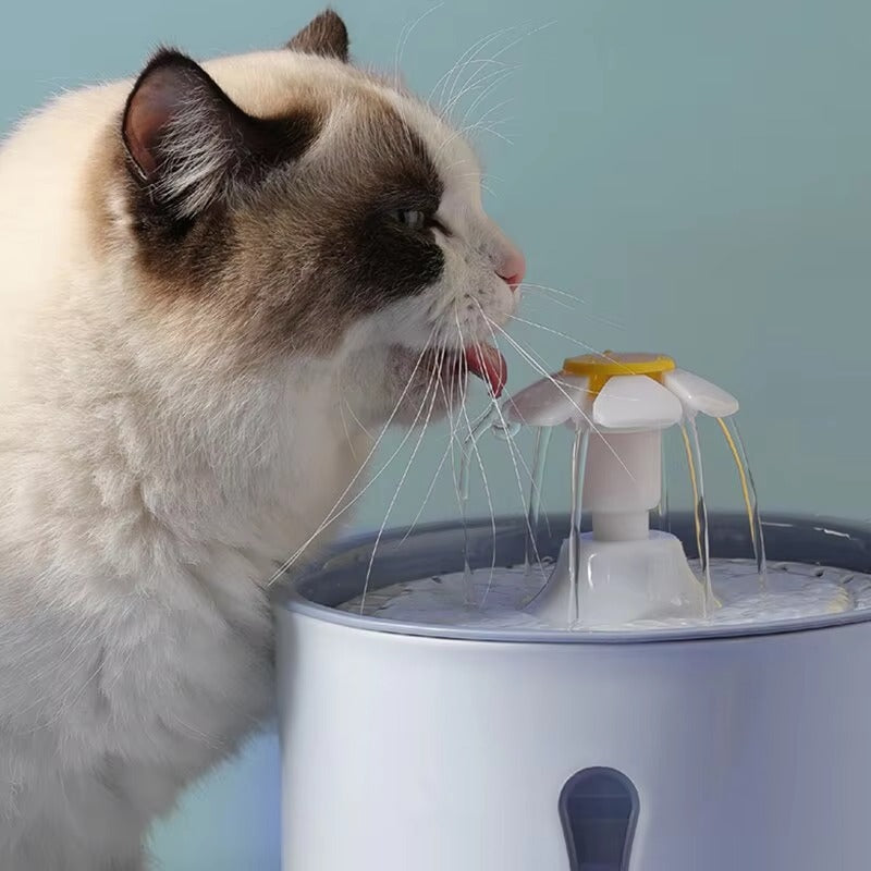 Daisy Cat Water Fountain
