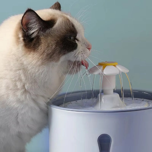 Daisy Cat Water Fountain