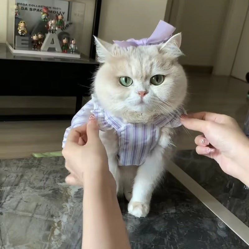 Lavender Stripe Cat Princess Dress