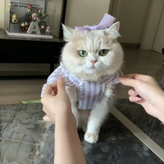 Lavender Stripe Cat Princess Dress