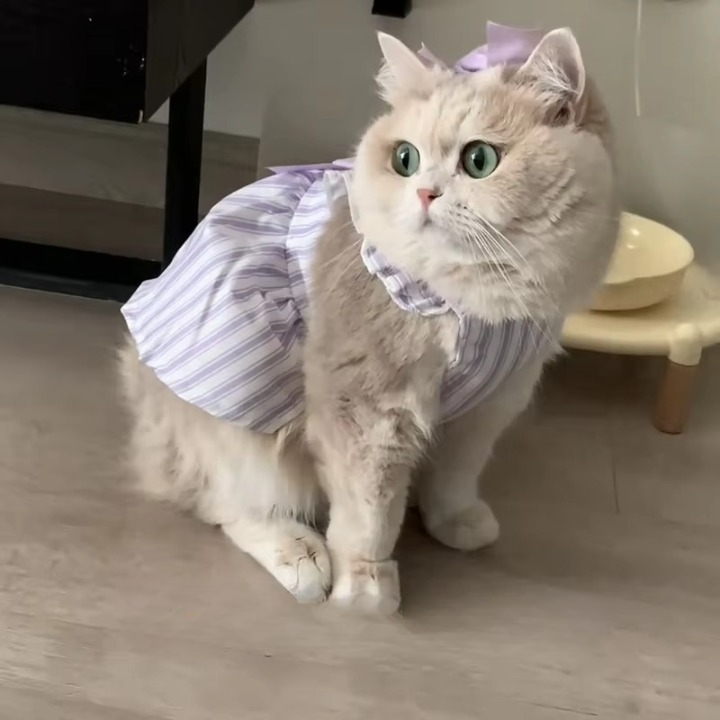 Lavender Stripe Cat Princess Dress
