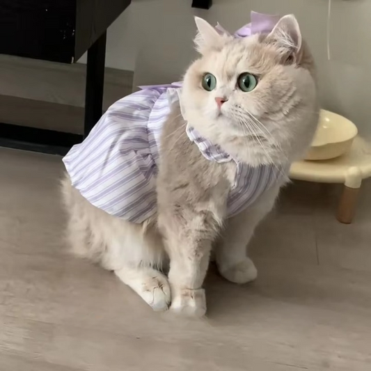 Lavender Stripe Cat Princess Dress