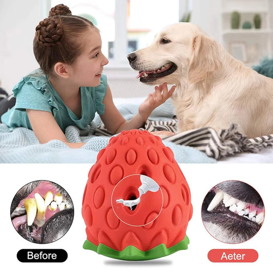 Snuffle Strawberry Toy for Dogs