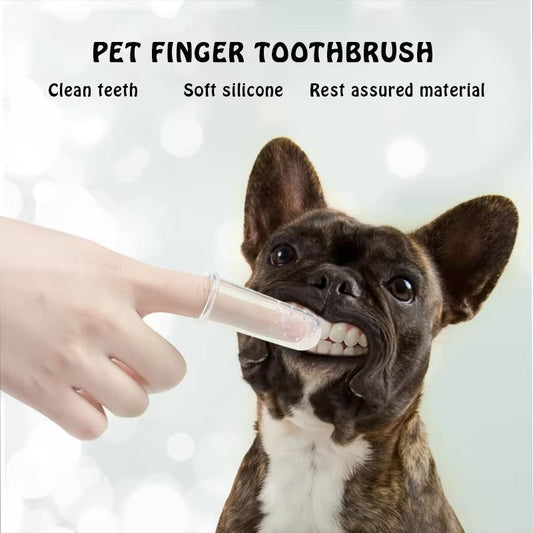 Dog Toothbrush | Set of 5