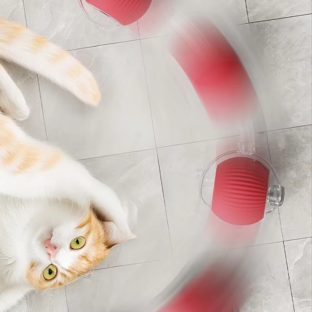 Rolling Pet Toy Ball