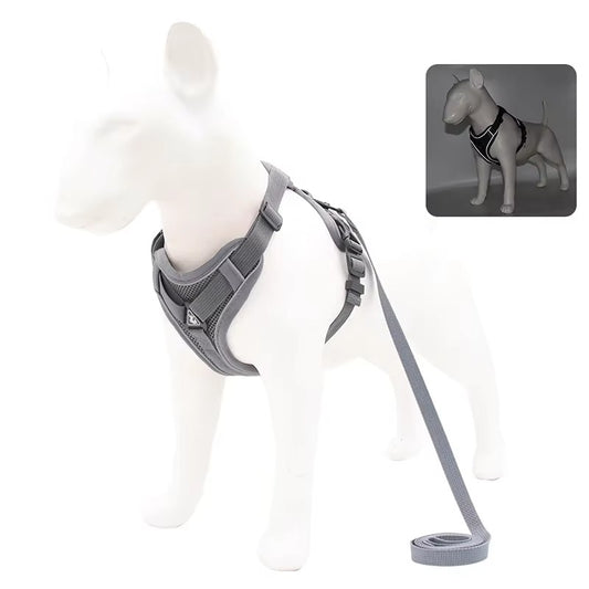 No-Pull Dog Harness & Leash Set