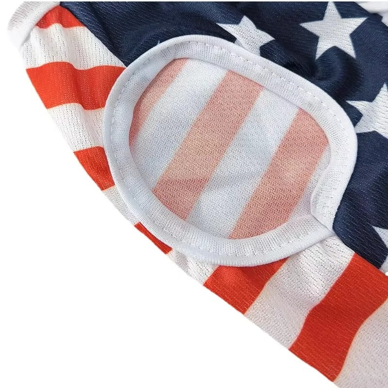 4th of July USA Outfit for Small Dogs